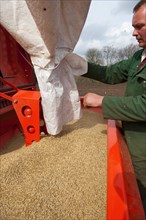 Farmer loads drill with spring barley seed