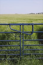 Closed gates at the edge of the barleys
