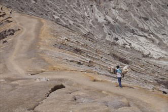 Local man carrying sulphur blocks in baskets on the path around the volcanic crater