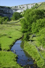 View of stream and limestone cliffs