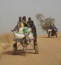 Senegalese children riding donkey pulled cart along road to nearby market