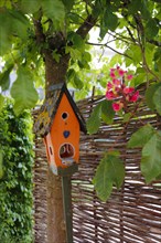 Funny bird house in the garden