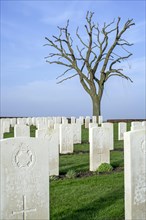 White gravestones at Prowse Point Military Cemetery from the First World War near Ploegsteert