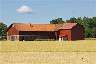 Red barn next to farmland