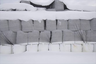 Plastic wrapped round silage bales stacked under nets in the snow