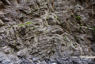 Folded strata in high limestone cliffs
