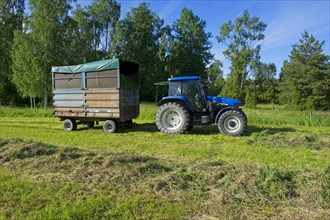 Tractor with wagon of grass for silage