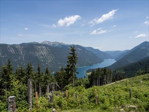 View from the Naggler Alm to the Weissensee