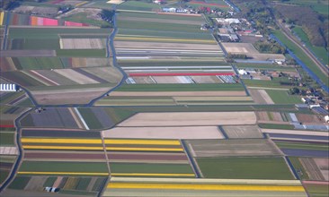 Aerial view of flower fields