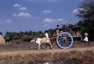 Village people travelling on a bullock cart near Madurai