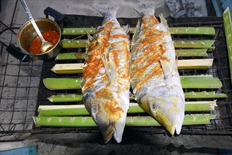 Creole-style snapper marinated on a charcoal grill