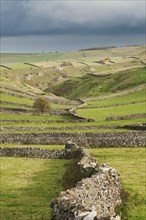 View of dry stone walls and pastures