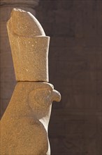 Statue of the falcon god Horus in the temple of Edfu
