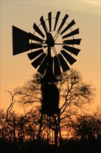 Wind turbine water pump silhouette at sunset