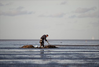 Angler digging for worms as bait