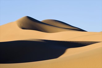 View of sand dunes in desert habitat