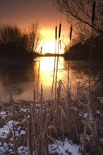 Sunset over reservoir with reeds on snowy bank