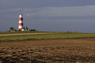 View across fields towards lighthouse