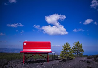 Giant Red Bench