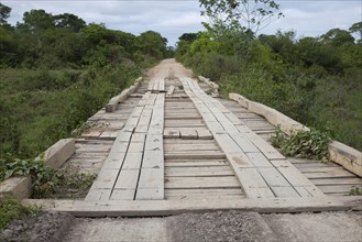Wooden bridge along the road