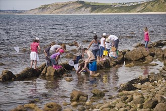 Group of children exploring rock pools on the coast with nets and buckets