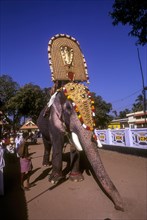 Caparisoned elephant in Thaipooya Mahotsavam at Sree Maheswara temple in Koorkencherry