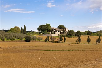 Manor house with olive trees and cypresses