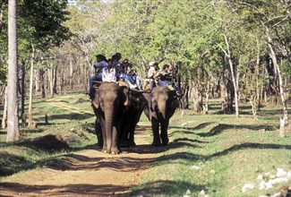 Tourists enjoy elephant ride in Nagarahole Tiger Reserve