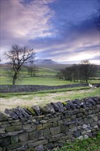 View of dry stone walls