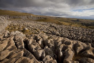 View of limestone pavement in upland landscape
