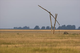 View of Puszta grassland habitat with traditional well