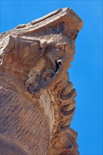 Column fragment with elephant head