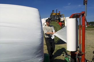 Farmers wrap silage round bales in plastic with mechanical bale wrapping