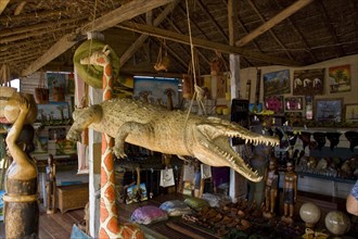 Stuffed crocodile for sale