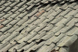 Ash-covered roof tiles from the recent volcanic eruption near Jogyakarta