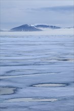 View of coastal ice floes