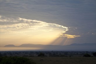View of sunbeams over savannah landscape at sunrise