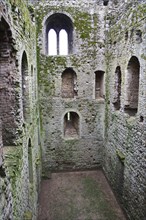 Interior of ruined 12th Century castle keep