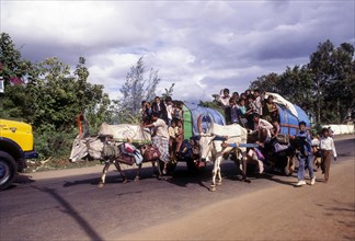 Children going to school in a bullock carts at Coimbatore
