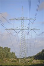 High-voltage power line in the forest aisle