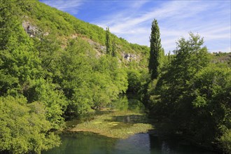 View of quiet river section and gorge