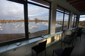 Interior of the Birdwatching Observatory with a view of the Mixed whooper swan