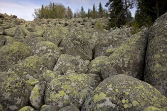 Granite boulders in 'stone run'