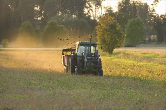John Deere tractor pulling manure spreader