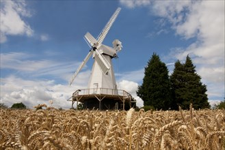 View of putty mill and wheat field