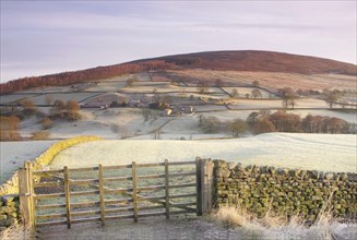 View of frosty gate