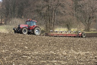 Fall Internationel 7140 tractor pulling Kverneland seven furrow plough