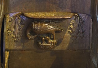 Misericord depicting 'Pelican in their piety'
