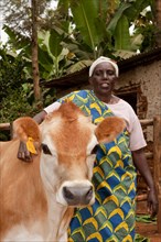 Lady with Jersey cow given to her by the charity Rwanda