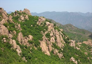 View over rocky scrub habitat on mountainside